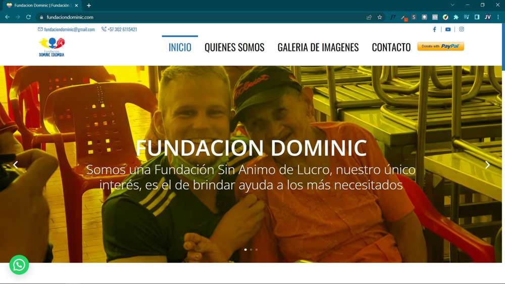 Pagina Web - Fundacion Dominic